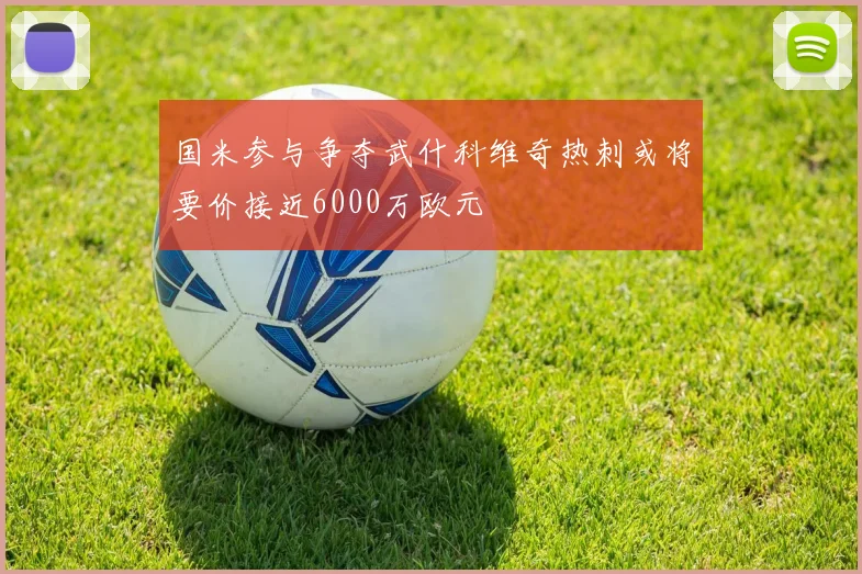 国米参与争夺武什科维奇热刺或将要价接近6000万欧元